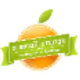 A Small Orange