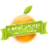 A Small Orange